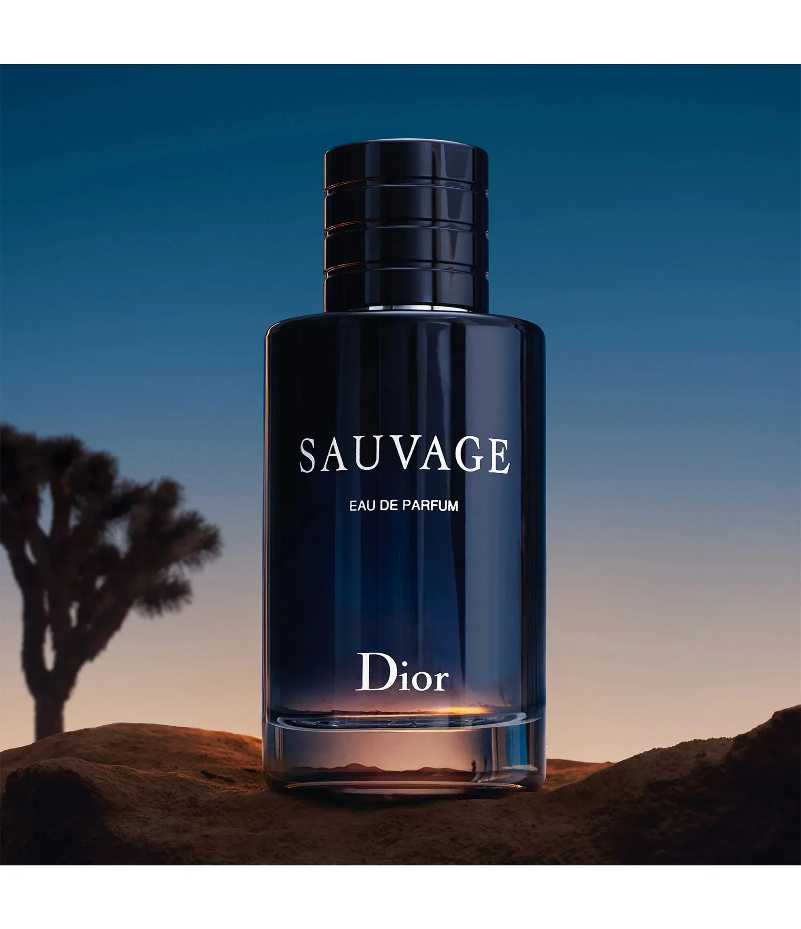 Perfume Christian Dior Sauvage EDT 100ml